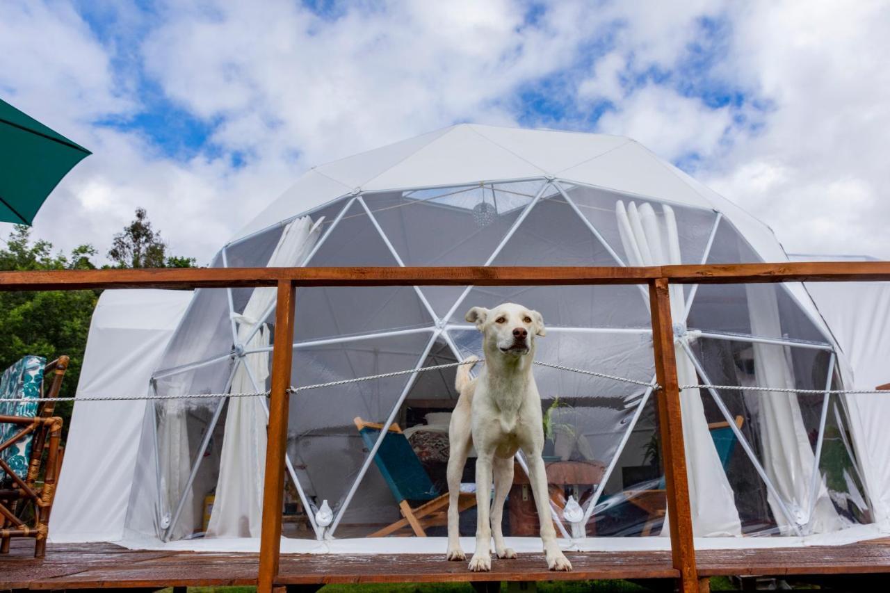 גוואטביטה Glamping Claro De Luna מראה חיצוני תמונה